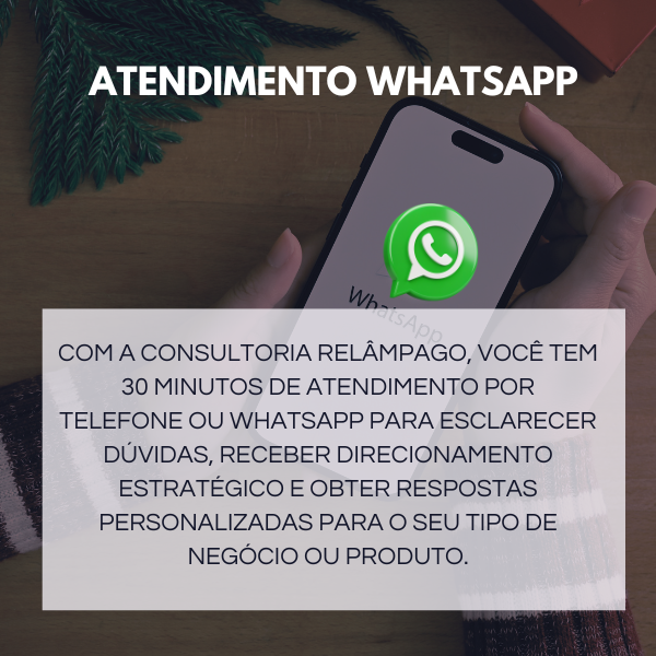 Consultoria Relâmpago Shopify - 30 Minutos para Tirar Suas Dúvidas com Especialista